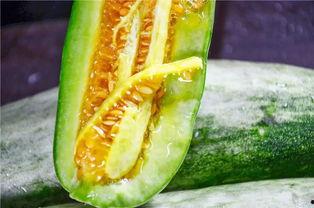 网红吃瓜网站718,揭秘娱乐圈最新热点事件 第2张 网红吃瓜网站718,揭秘娱乐圈最新热点事件 第2张